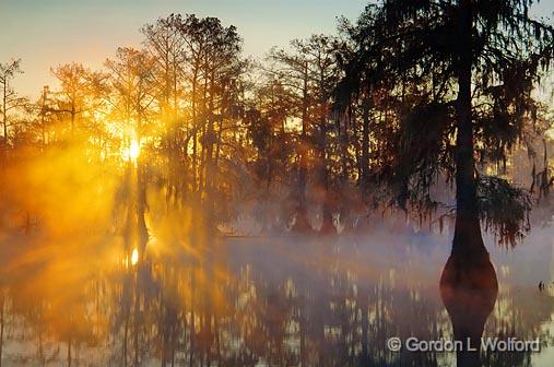 Misty Lake Martin Sunrise_25802.jpg - Photographed at the Cypress Island Preserve near Breaux Bridge, Louisiana, USA.